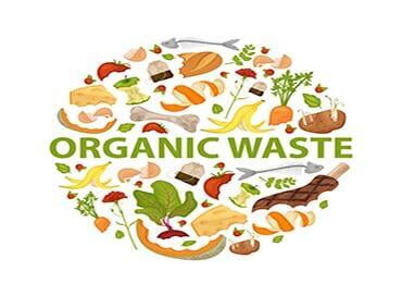 Swedish scientists: organic waste into artificial leather, fungal leather comparable to leather!